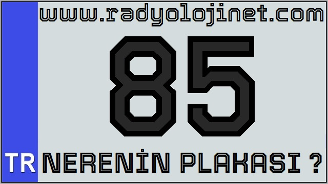 85 Nerenin Plakası ?