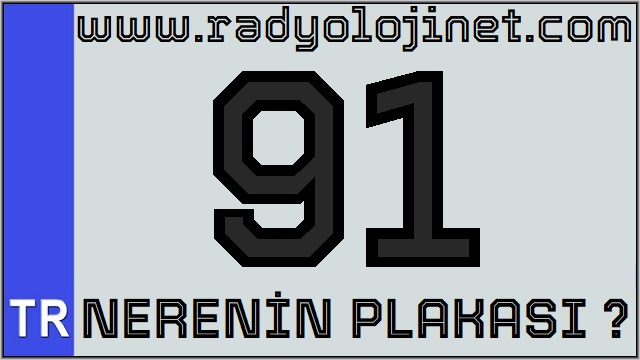 91 Nerenin Plakası ?