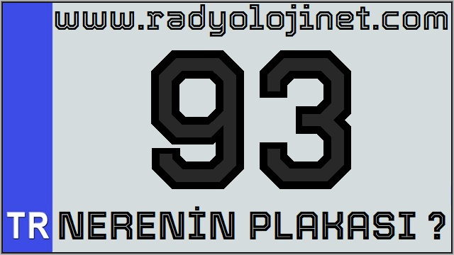 93 Nerenin Plakası ?