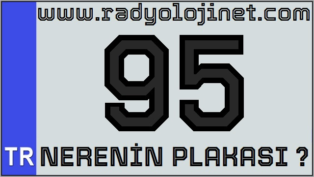 95 Nerenin Plakası ?