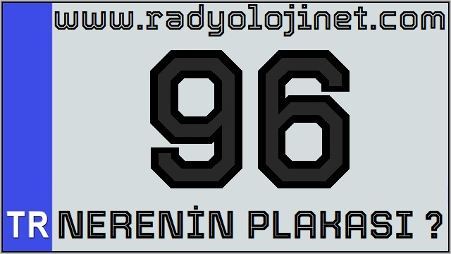 96 Nerenin Plakası ?